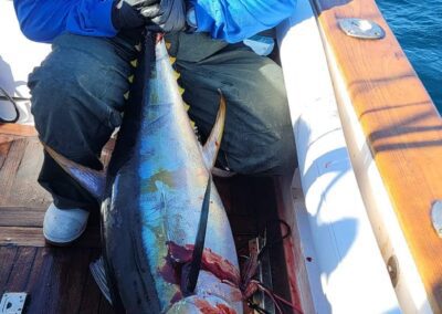 a person holding a fish in a boat