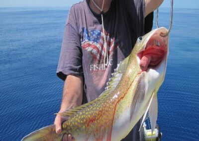 a person holding a fish